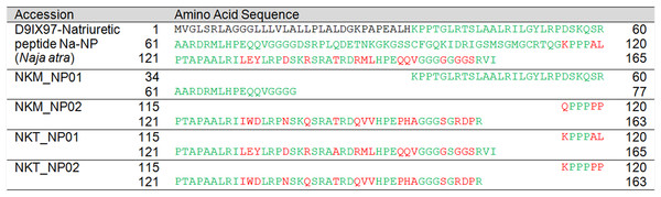 Pairwise sequence alignment of natriuretic peptide (NP) transcripts from the venom gland transcriptomes of NK-M and NK-T in comparison to the annotated NP sequences.