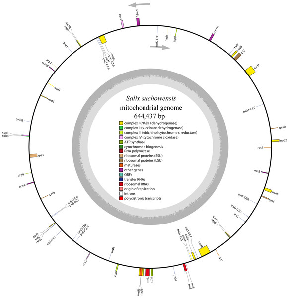 The circular mitochondrial genome of S. suchowensis.