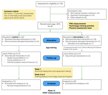 Effects of online group exercises for older adults on physical ...