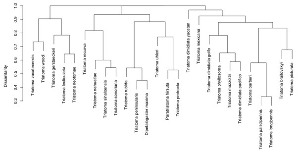 Hierarchical clustering of mammal host similarity among vector species.