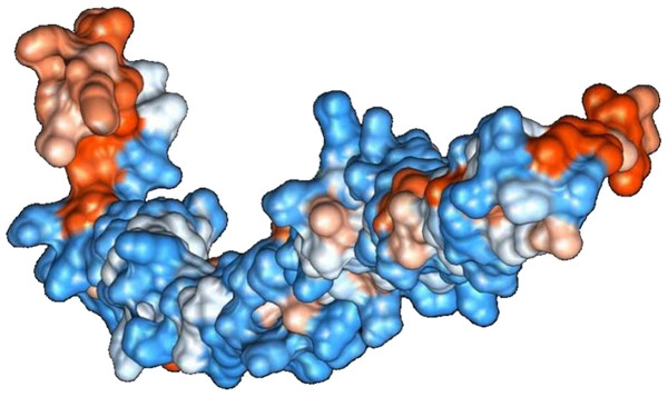 Protein hydrophobicity—SREHP.