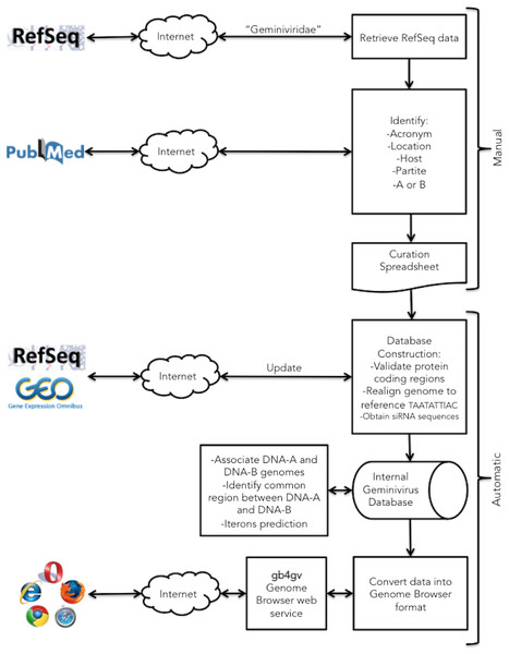 Project workflow of the semi-automatic annotation process.