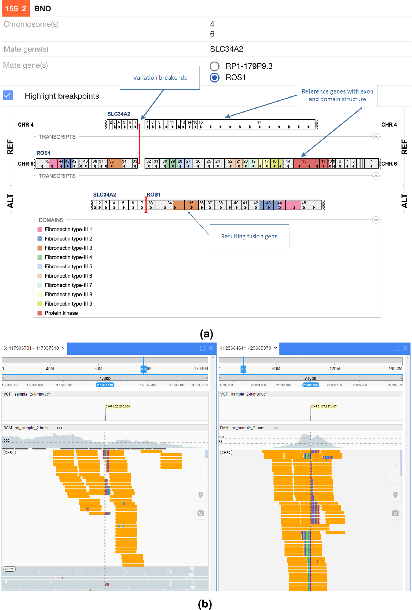 Prioritisation Of Structural Variant Calls In Cancer Genomes [PeerJ]