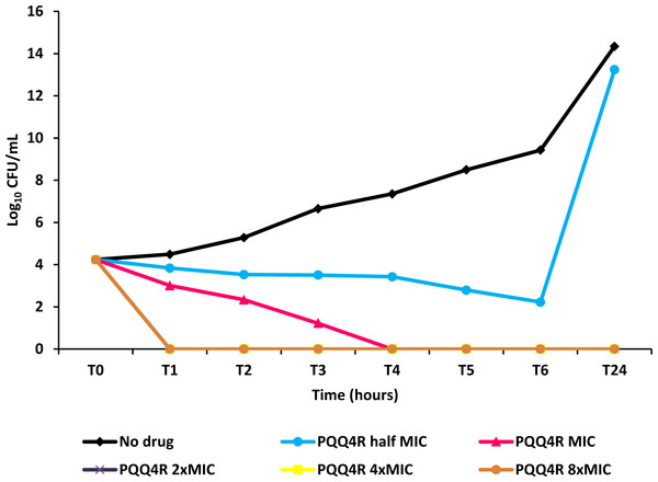 Effect for PQQ4R on survival of E. coli. AG100.