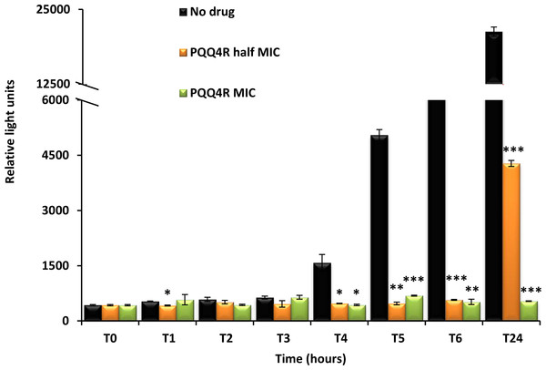 Effect of PQQ4R on E. coli ATP levels.
