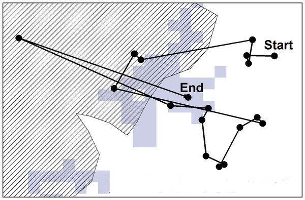 A hypothetical example of a “walk” extracted for the study.