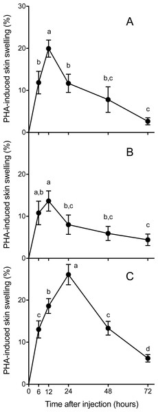 Mean (±1 S.E.M.) phytohemagglutinin (PHA)-induced skin swelling response, expressed as the percentage of the initial footpad area thickness corrected by the swelling that produce an injection of the same amount of saline solution in the left footpad (see Materials and methods), at 6, 12, 24, 48 and 72 h after PHA injections in Asiatic toads (A), Dark-spotted frogs (B) and Mongolian toads (C).