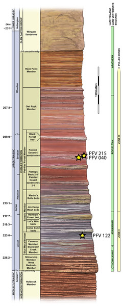 Stratigraphic column of PEFO showing position of sampled specimens and localities.