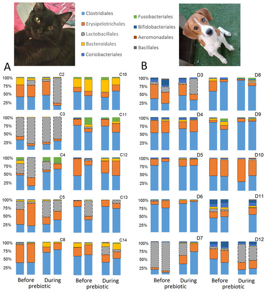Relative abundance of bacterial groups at the order level for each cat and dog in trial 1.