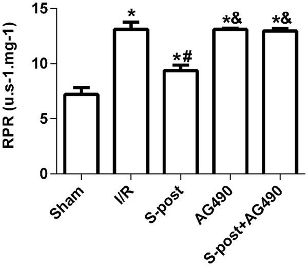 S-post reduced mitochondrial ROS production.