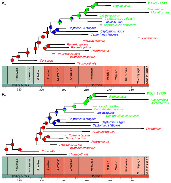 The phylogeny of Captorhinidae, illustrating the evolution of diet.