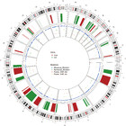 Analysis of genomic variation in lung adenocarcinoma patients revealed ...