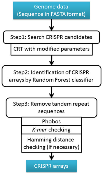 The workflow of CRISPR Finder by Random Forest (CRF) Pipeline.
