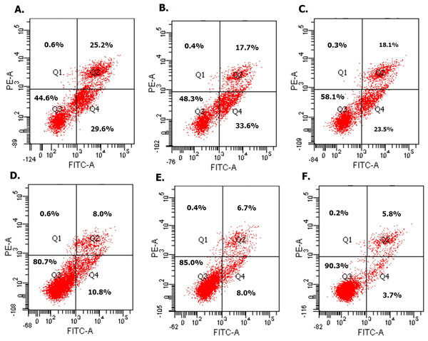 Overexpressed hsa-miR-138-2-3p induced cell apoptosis after radiation by flow cytometry.