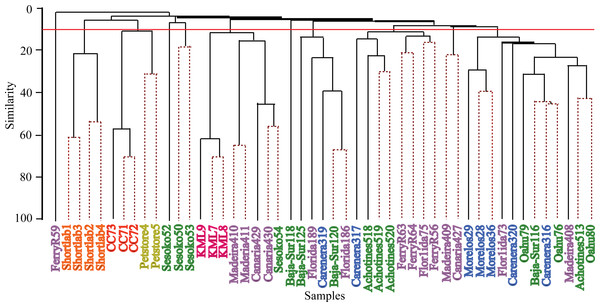 Hierarchical clustering dendogram of bacterial communities associated with Exaiptasia pallida specimens from all wild and captive populations.