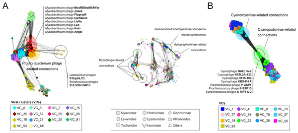 A detailed view of network regions containing three major viral groups and their relatives.