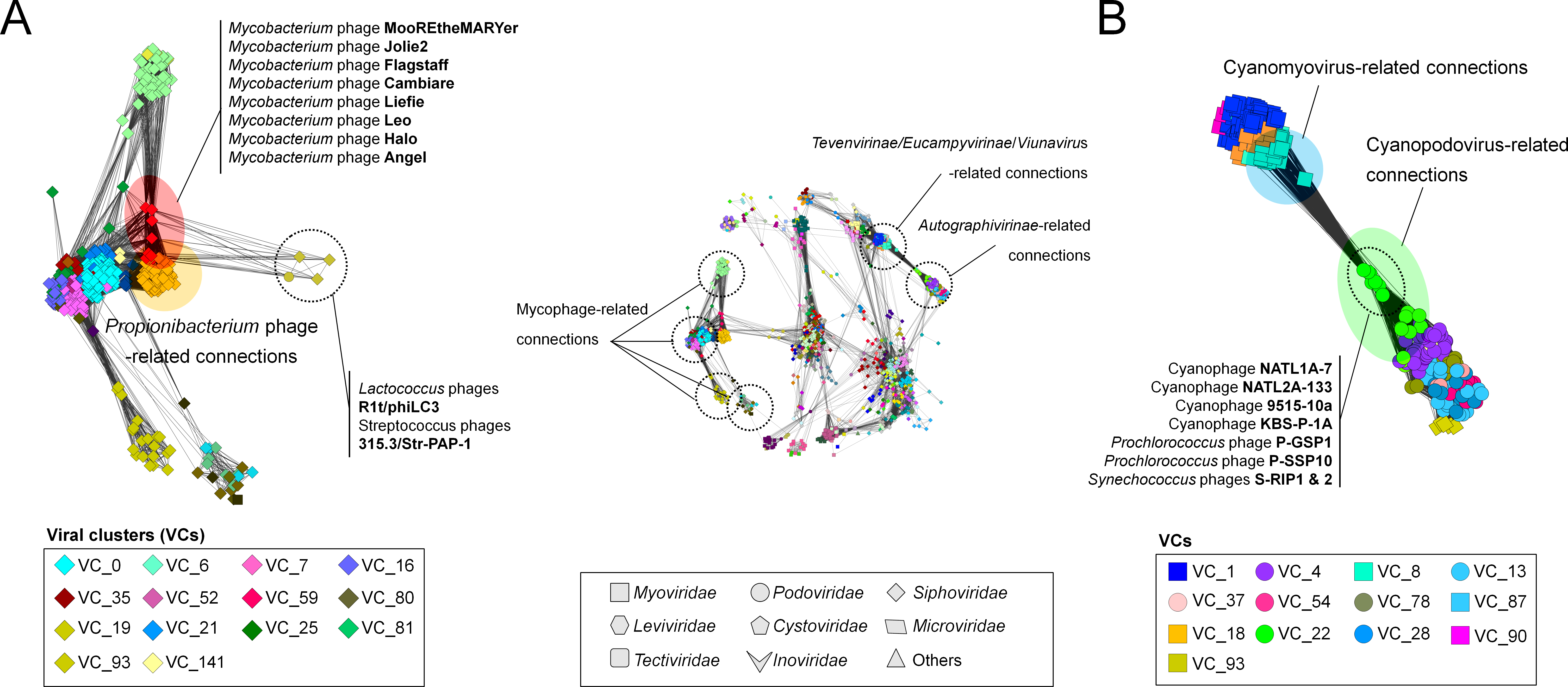 vConTACT an iVirus tool to classify doublestranded DNA viruses that infect Archaea and