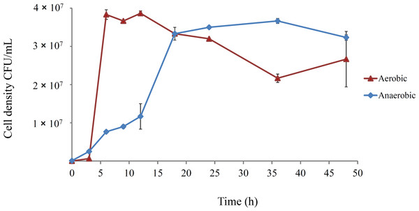 Growth course of E. coli REL4536 under aerobic and anaerobic conditions in DM25 media at 37°C.