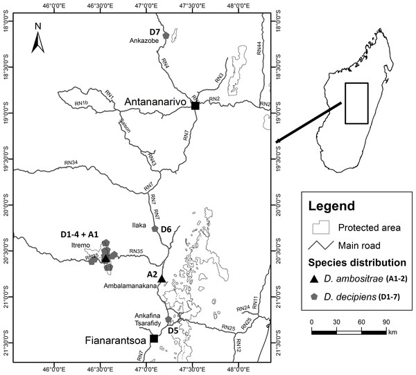 Locations of collection sites for Dypsis ambositrae and D. decipiens.