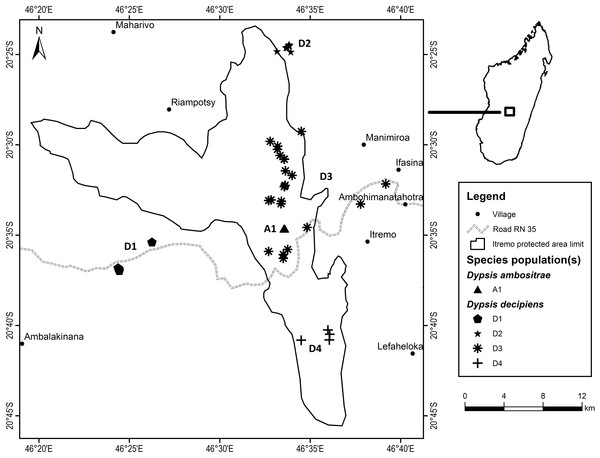 Detailed map of Dypsis ambositrae and D. decipiens collection sites within the Itremo Massif region, Madagascar.
