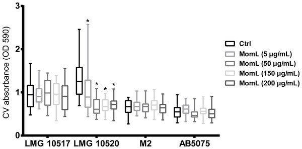Effect of MomL on biofilms formed by other Acinetobacter strains.