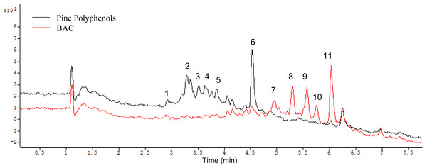 Mass spectrograms of the pine polyphenols (PPs) and the BAC.