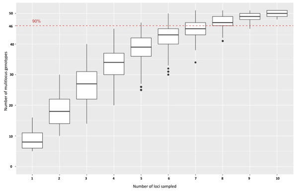 A genotype accumulation curve for 51 isolates of P. cubensis and P. humuli across 11 loci.