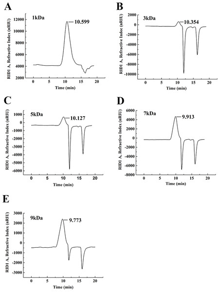 The weight-average molecular weight assay of WSC1-5 with HPLC.