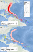 Sooty tern (Onychoprion fuscatus) survival, oil spills, shrimp ...