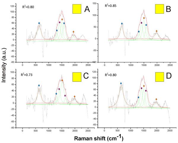 Examples of Raman spectra of yellow hair in Bombus, and peak identification after having applied the reference deconvolution method.