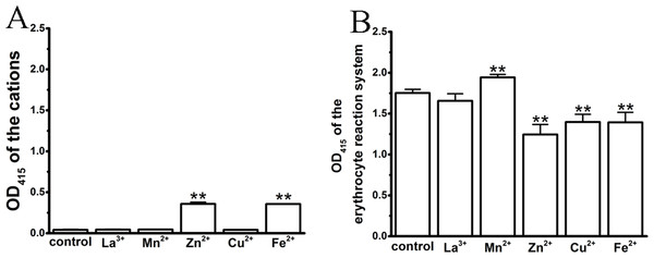 Effects of the cations on an erythrocyte reaction system by spectrophotometry, where the maximal anti-hemolytic concentrations of the cations were used.
