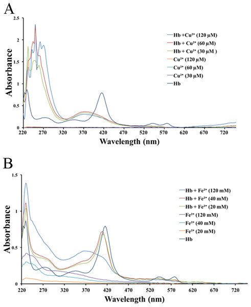 UV–Vis spectroscopy of hemoglobin solution.