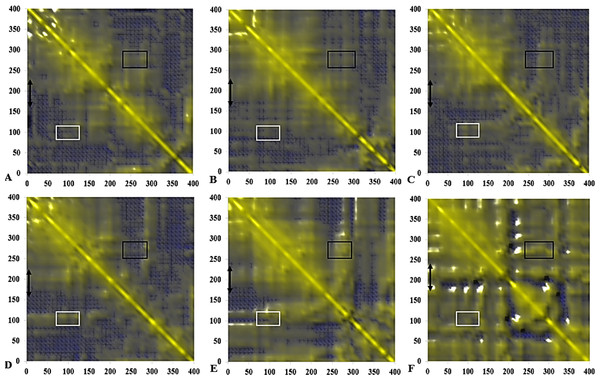 Calculated dynamical cross-correlations map for T1 lipase over the last 10 ns of 40 ns simulations in (A) H2O, (B) MtOH-H2O, (C) EtOH-H2O, (D) PrOH-H2O, (E) BtOH-H2O, (F) PtOH-H2O solvent mixtures.