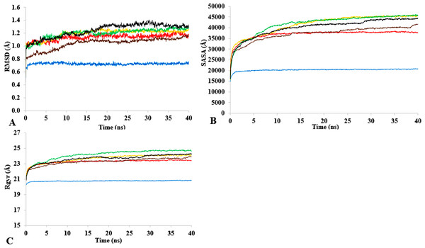 The time dependence of the mean average of replicates root mean square deviations (rmsd) of backbone atoms for the 40 ns simulations of T1 lipase (A).