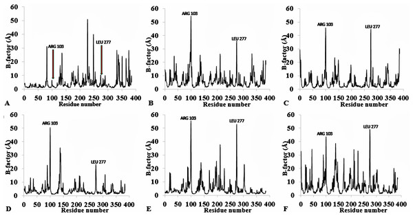 Per-residue B-factor calculated from the last 10 ns of 40 ns simulations for T1 lipase 2DSN.