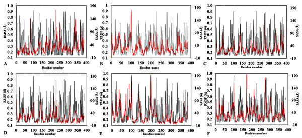 Average RMSF and SASA for each residue in all solvent mixtures (A) H2O, (B) MtOH-, (C) EtOH-, (D) PrOH-, (E) BtOH-, and (F) PtOH-H2O over the last 150 ps simulations.