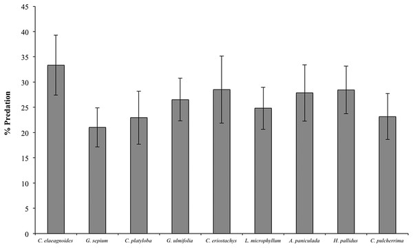Percent predation on clay models (mean ± SE) associated with different plant species during the rainy season of 2015, F(8,39) = 0.656, P = 0.72.