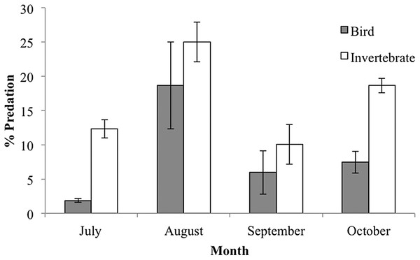 Percent predation caterpillar clay models (mean ± SD) per guild type (bird or invertebrate) during the rainy season of 2015.