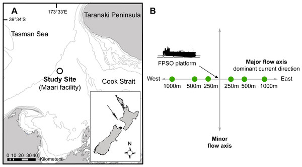 Site map indicating: (A) The study site situated in the Taranaki Bight (Maari facility, black circle); (B) The Floating Production Storage and Offloading (FPSO) platform.