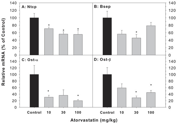 Effects of atorvastatin treatment on mRNA expression of bile acid transporters.