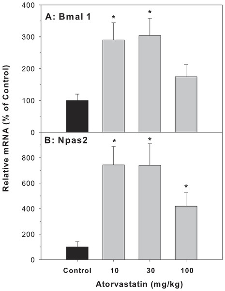 Effects of atorvastatin treatment on mRNA expression of clock core master genes Bmal1 and Npas2.