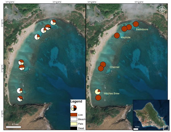 Coral condition on map of Hanauma Bay Nature Preserve.