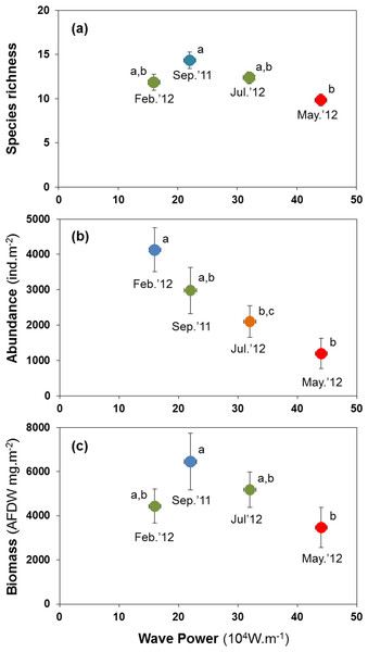 Variation in the mean number of species per site (A), mean abundance (B) and mean biomass (C) of macrobenthic assemblages at four sampling events associated with significant variation in wave energy preceding each event.