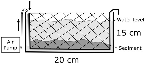 Schematic diagram of the sediment processing tanks.