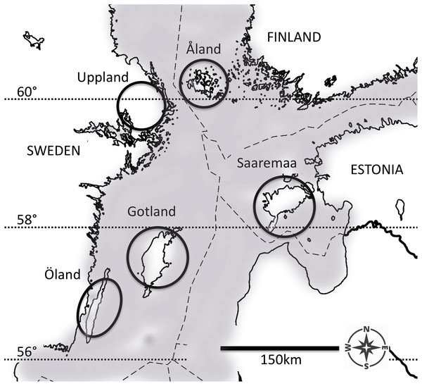 The five populations of the Glanville fritillary butterfly in the Baltic Sea region.