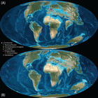 Eocene Loranthaceae pollen pushes back divergence ages for major splits ...