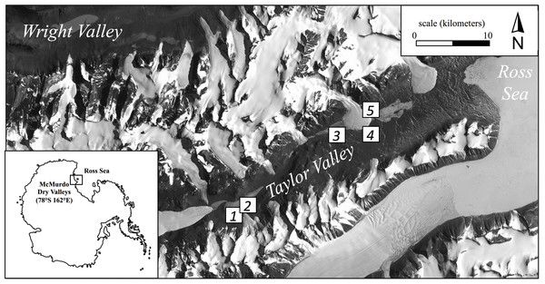 Location of the five regional sampling sites in Taylor Valley of the McMurdo Dry Valleys, Antarctica.
