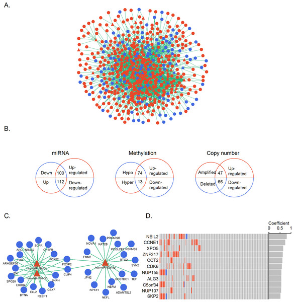 Identification of candidate genes controlled by multiple mechanisms.