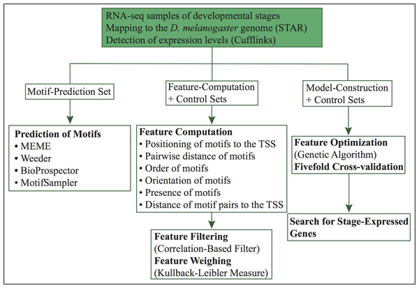 Workflow of our computational approach.