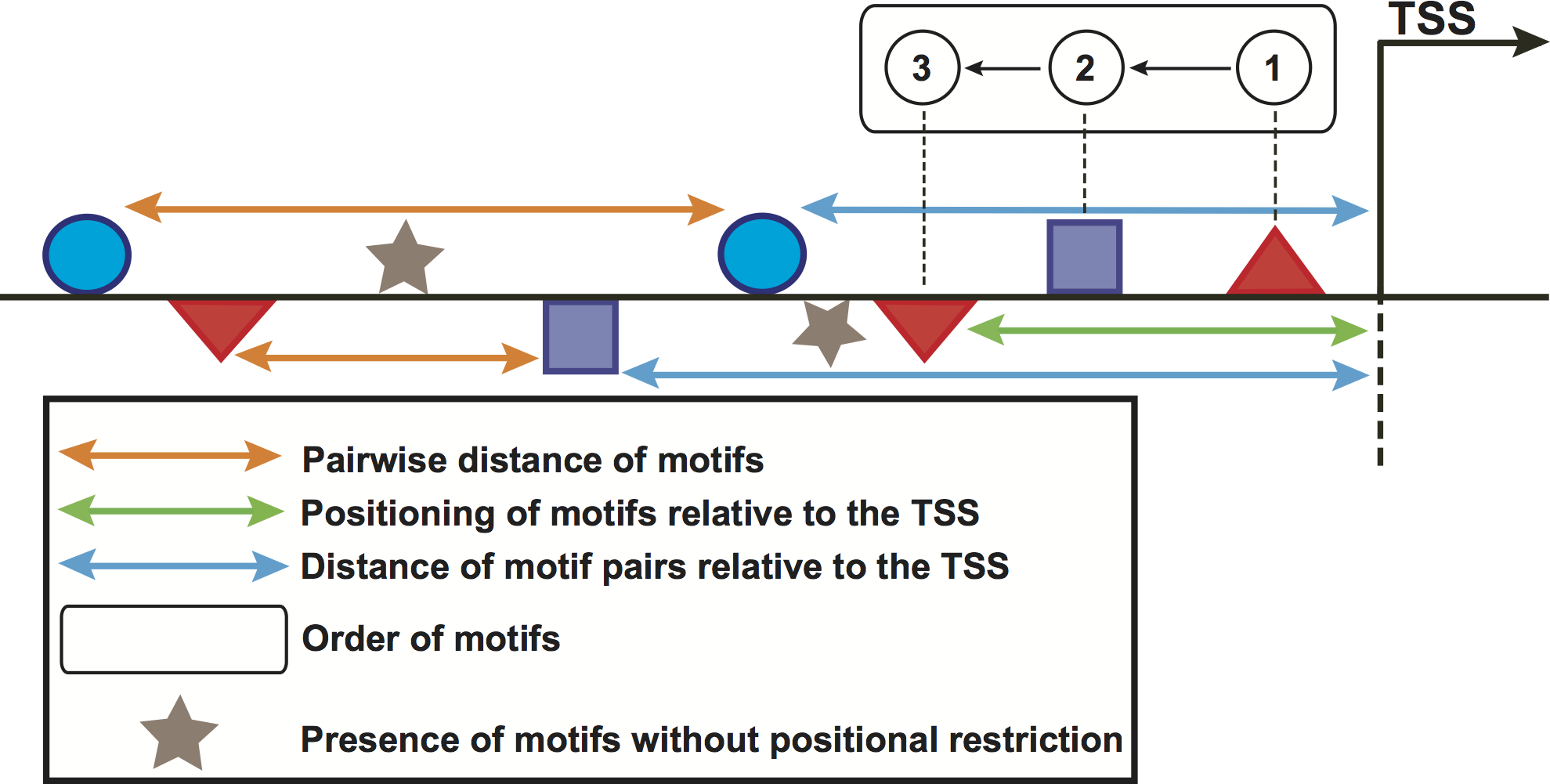 Modeling the cis-regulatory modules of genes expressed in 